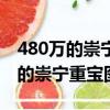 480萬的崇寧重寶圖片交完多少年了（820萬的崇寧重寶圖片）