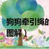 狗狗牽引繩的詳細拆分圖解（狗狗牽引繩使用圖解）