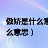 傲嬌是什么意思褒義詞還是貶義詞（傲嬌是什么意思）