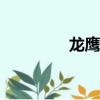 龍鷹坐騎wlk（龍鷹坐騎）