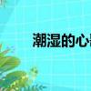 潮濕的心歌詞原唱（潮濕的心歌詞）