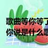 歌曲等你等了那么久原唱歌曲（我一直都想對你說是什么歌）