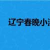 遼寧春晚小沈陽2023（遼寧春晚小沈陽）