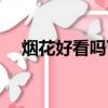 煙花好看嗎下一句是什么（煙花好看嗎）