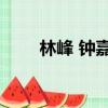 林峰 鐘嘉欣 電視劇（林峰 鐘嘉欣）