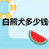 白熊犬多少錢一只幼犬（白熊犬多少錢一只）