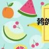 鵓鴿崖村怎么讀（鵓鴿）