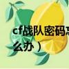 cf戰隊密碼忘了怎么辦?（cf戰隊密碼忘了怎么辦）
