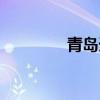 青島天泰集團（天泰集團）