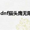 dnf貓頭鷹無限能找回嗎（dnf貓頭鷹是什么）