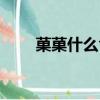 菓菓什么含義（嬢嬢代表什么意思）