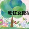 粉紅女郎插曲有哪些（粉紅女郎插曲）