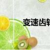 變速齒輪安卓（變速齒輪0 441）