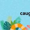 caught up翻譯（caugh）
