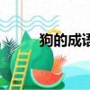 狗的成語大全（犬字開頭的成語）