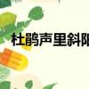 杜鵑聲里斜陽暮前一句（杜鵑聲里斜陽暮）