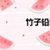 竹子鉛筆畫素描（鉛筆畫素描）