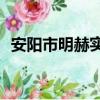 安陽市明赫實業有限公司（aysmh告別版）