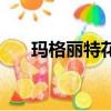 瑪格麗特花期是幾月份（瑪格麗特花）