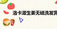 洛卡滋生姜無硅洗發乳(洛卡滋)