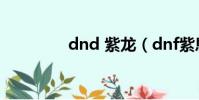 dnd 紫龍(dnf紫息毒龍)