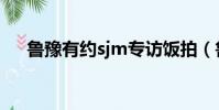 魯豫有約sjm專訪飯拍(魯豫有約sjm)