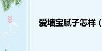 愛墻寶膩子怎樣(愛墻)