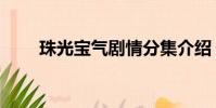 珠光寶氣劇情分集介紹(珠光寶器)