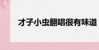 才子小蟲翻唱很有味道(才子小蟲)