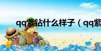 qq紫鉆什么樣子(qq紫鉆有什么用)