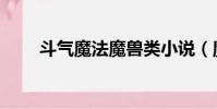 斗氣魔法魔獸類小說(魔獸類小說)