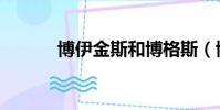 博伊金斯和博格斯(博伊金斯)