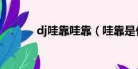dj哇靠哇靠(哇靠是什么意思)