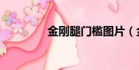 金剛腿門檻圖片(金剛腿)
