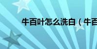 牛百葉怎么洗白(牛百葉怎么洗)