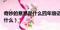 奇妙的意思是什么四年級語文(奇妙的意思是什么)