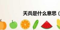 天兵是什么意思(天兵)