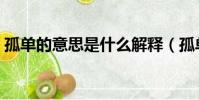 孤單的意思是什么解釋(孤單的意思是什么)