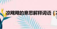 涼颼颼的意思解釋詞語(涼颼颼的意思)