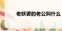 老妖婆的老公叫什么(老妖婆)