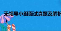 無領導小組面試真題及解析(無領導小組面試)
