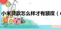 小米貸款怎么樣才有額度(小米貸款怎么樣)
