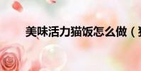 美味活力貓飯怎么做(貓飯怎么做)