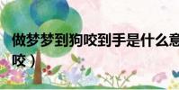 做夢夢到狗咬到手是什么意思(做夢夢到被狗咬)