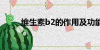 維生素b2的作用及功能(維生素)