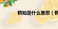 鶴知是什么意思(鶴知夜半)