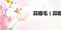蒜瓣毛(蒜瓣)