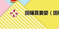 田穰苴晏嬰(田穰苴)