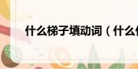什么梯子填動詞(什么什么梯什么)