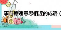事與愿違意思相近的成語(事與愿違的近義詞)
